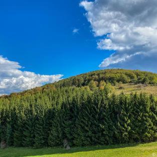 Dome Home Tents Taor Valjevo Buitenkant foto